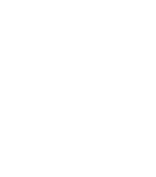 Quark Aerosystems
